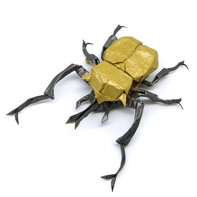 445964977_1524034128492733_3150451171480517787_n