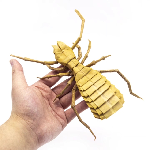 448024413_479123351243484_5446020457500237121_n https://www.instagram.com/p/C8BcBqZpM4o